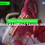 Shio Kambing Desember 2022 Lengkap Dengan Weton